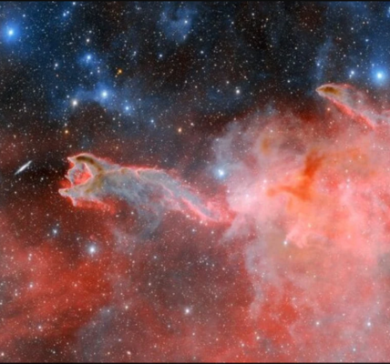 Cometary globules, first noticed in 1976, have no connection with comets