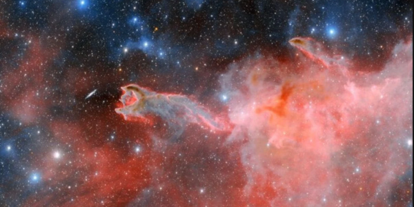 Cometary globules, first noticed in 1976, have no connection with comets